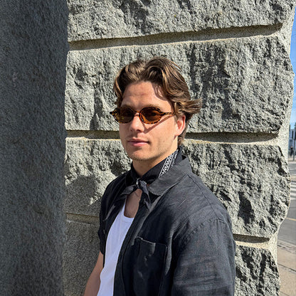 Millisimo Brown Turtle Brown Lens Solbrille - CLASSIC