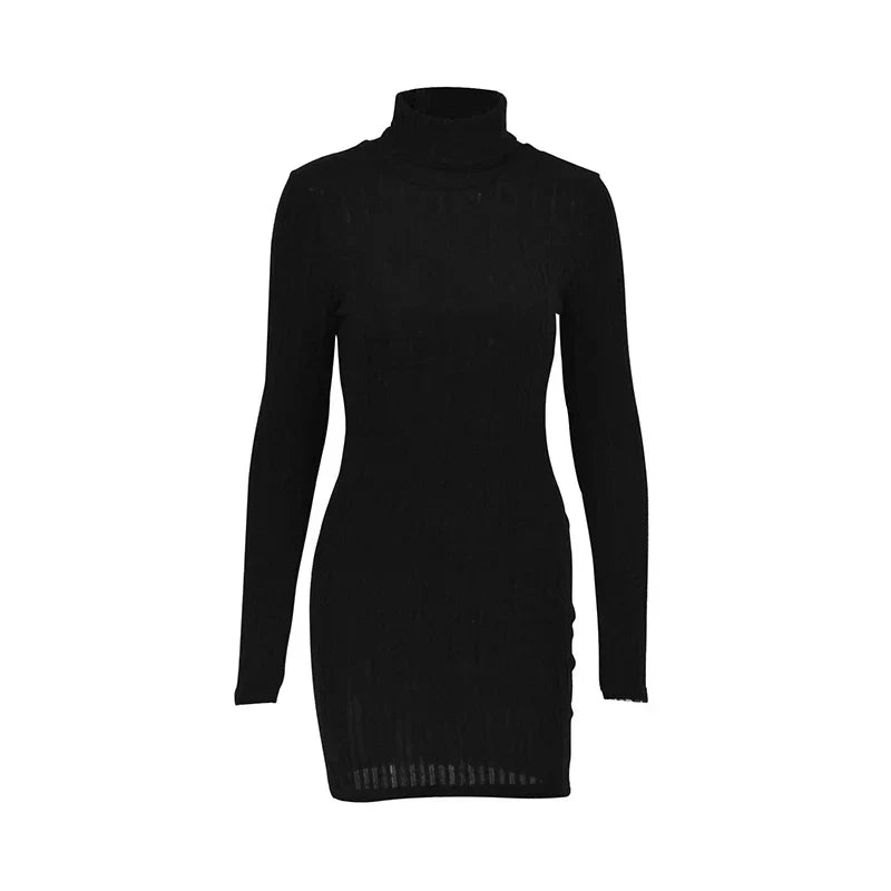 Courtney | Sleek Ribbed Turtleneck Dress 