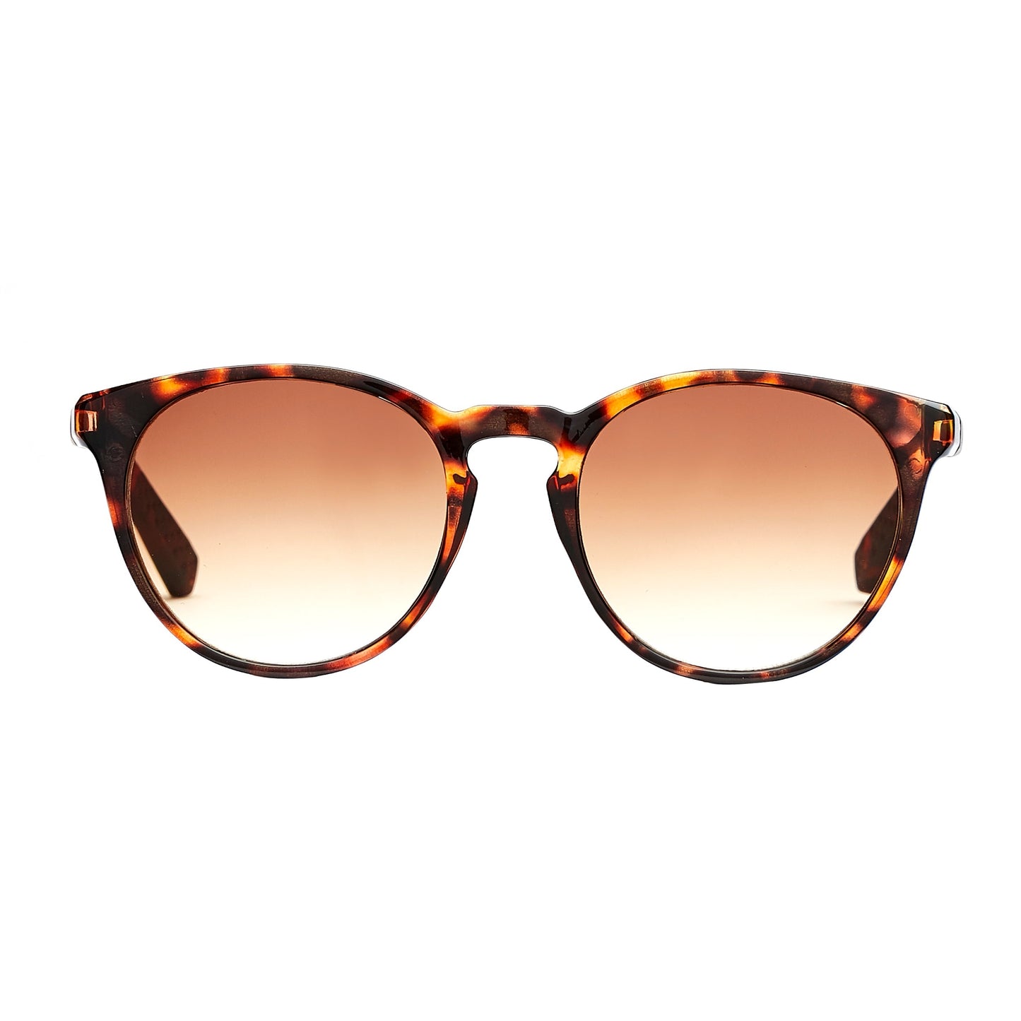 Torino Brown Turtle Solbrille - CLASSIC | MEN