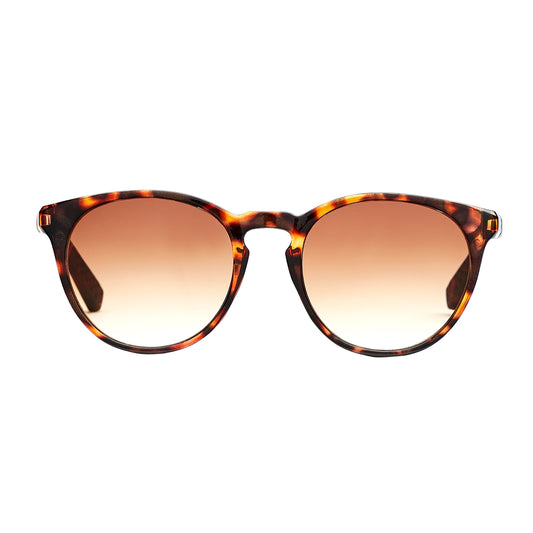 Torino Brown Turtle Solbrille - CLASSIC | MEN